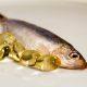 New Health Research: Fish Oil Pills Might Cut Diabetes Risk