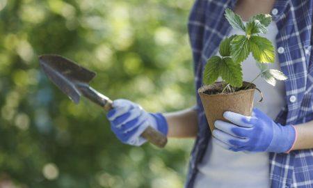 Put On Your Gardening Gloves And Workout!