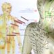 Acupuncture