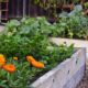 Organic Gardening