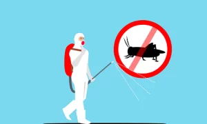 How To Stay away from bugs and insects?
