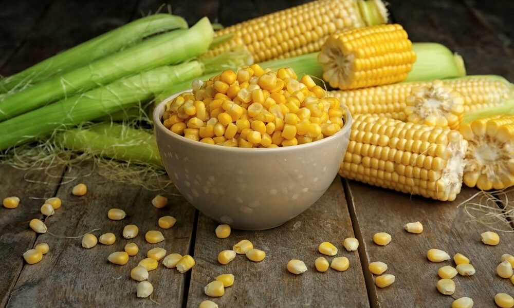Health Secrets Of Corns Fajar Magazine