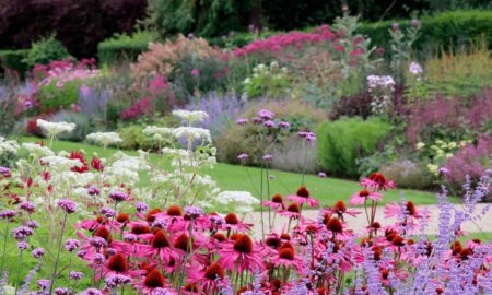 Local Gardens