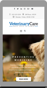 veterinary wordpress theme