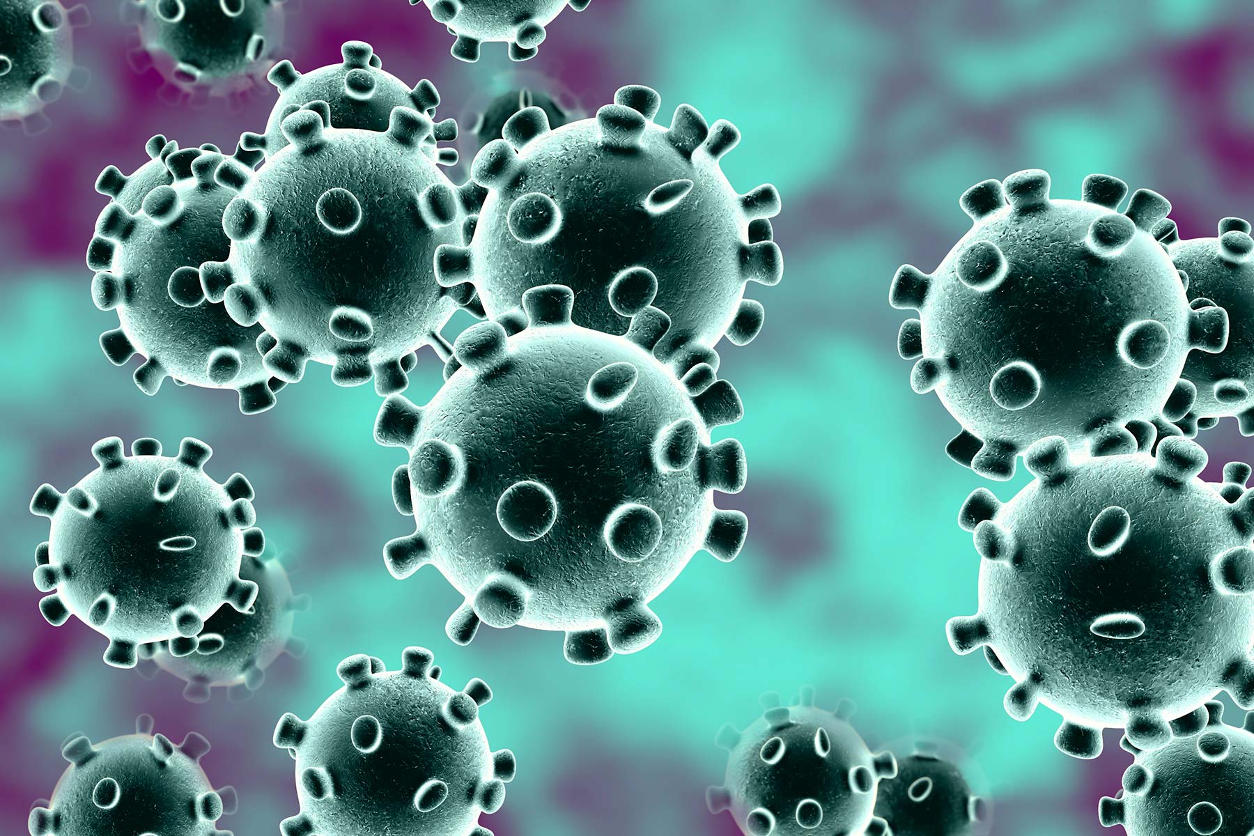 Coronavirus epidemic