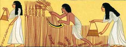 egyptian Men and Women Farming