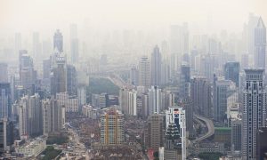 Smog and its effects