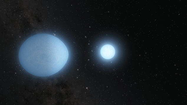 Moving white dwarfs