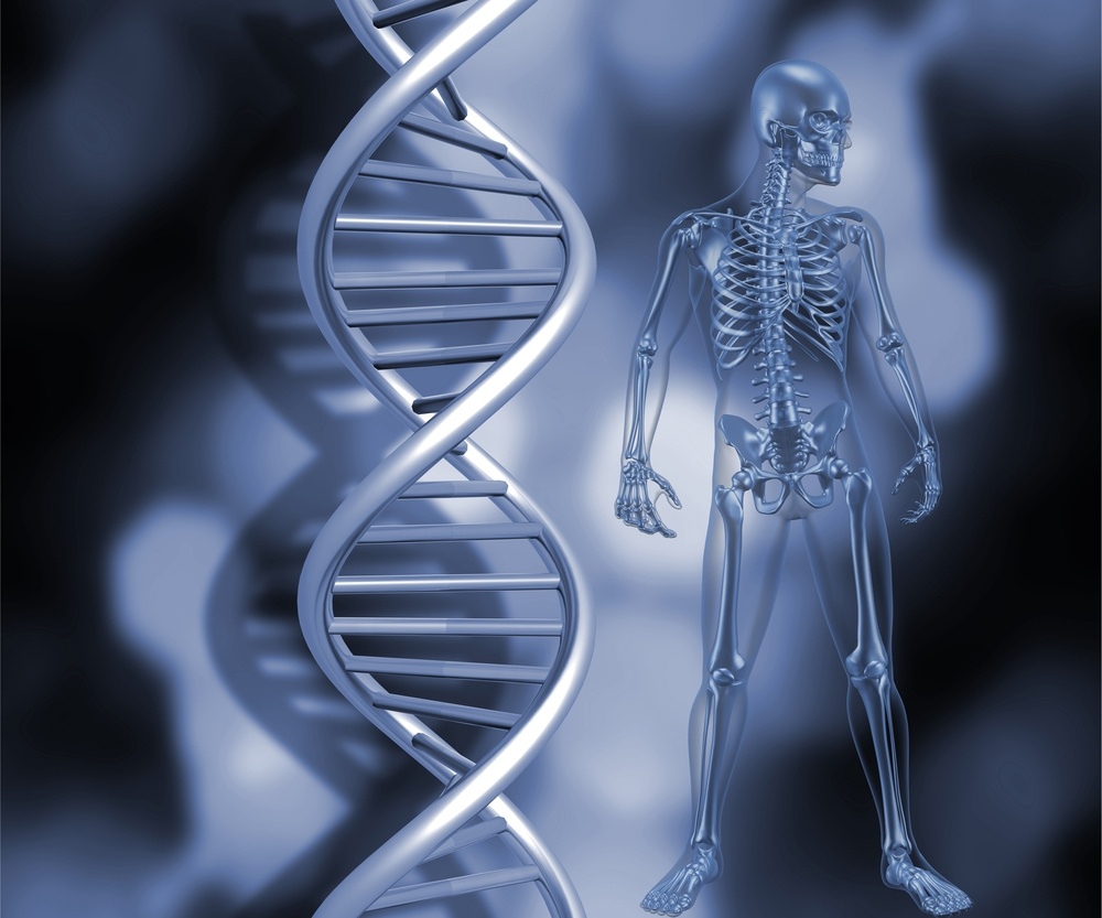 Genes on DNA determines the traits of a person