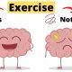 Brain power