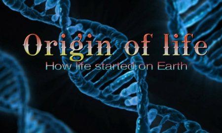How life begin on earth
