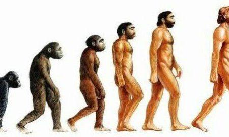 Evolution
