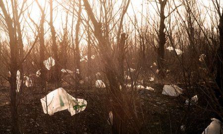 Why Plastic Should Be Banned?