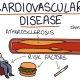 Cardiovascular diseases