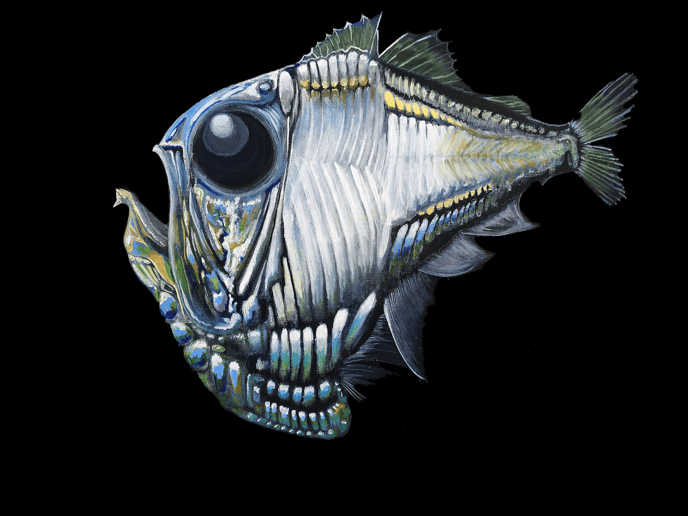 Deep-sea Hatchetfish