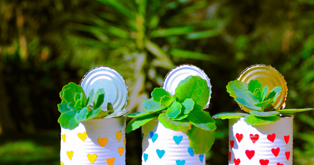 Used tin cans decorated and used as succulent pots. why learning how to fix things is necessary.