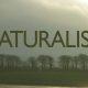 naturalism
