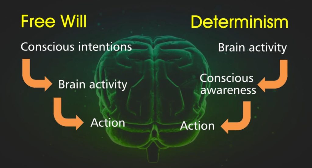 free will and determinism