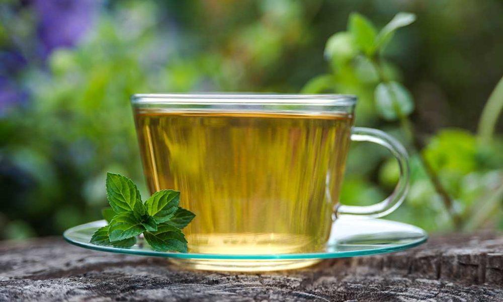 How Green Tea Help Weight Loss? Fajar Magazine