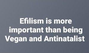 Efillism