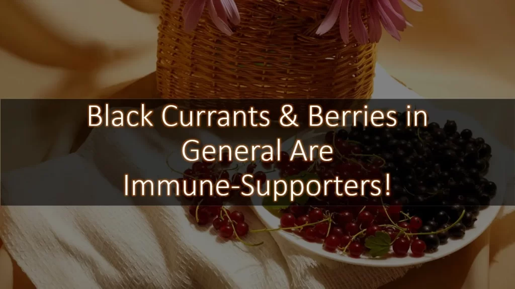 Berries-black-currants-in-background