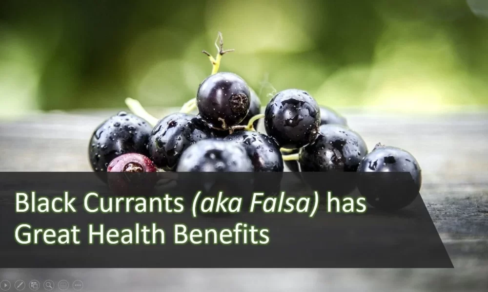 Berries-black-currants-in-the-background