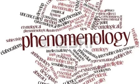 Phenomenology