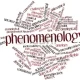 Phenomenology