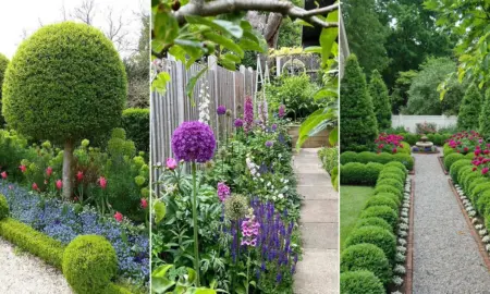 Formal Gardens: Design, Plants & Ideas
