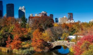 13 Spectacular Things to Do in the USA in November