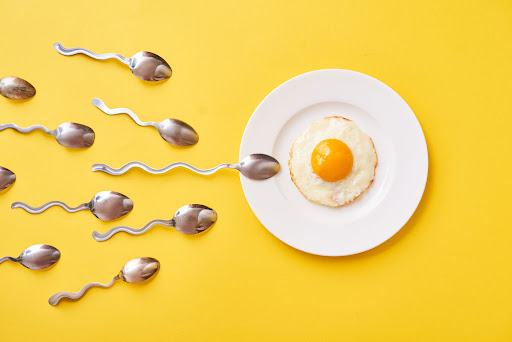 How to eat egg to increase sperm count?