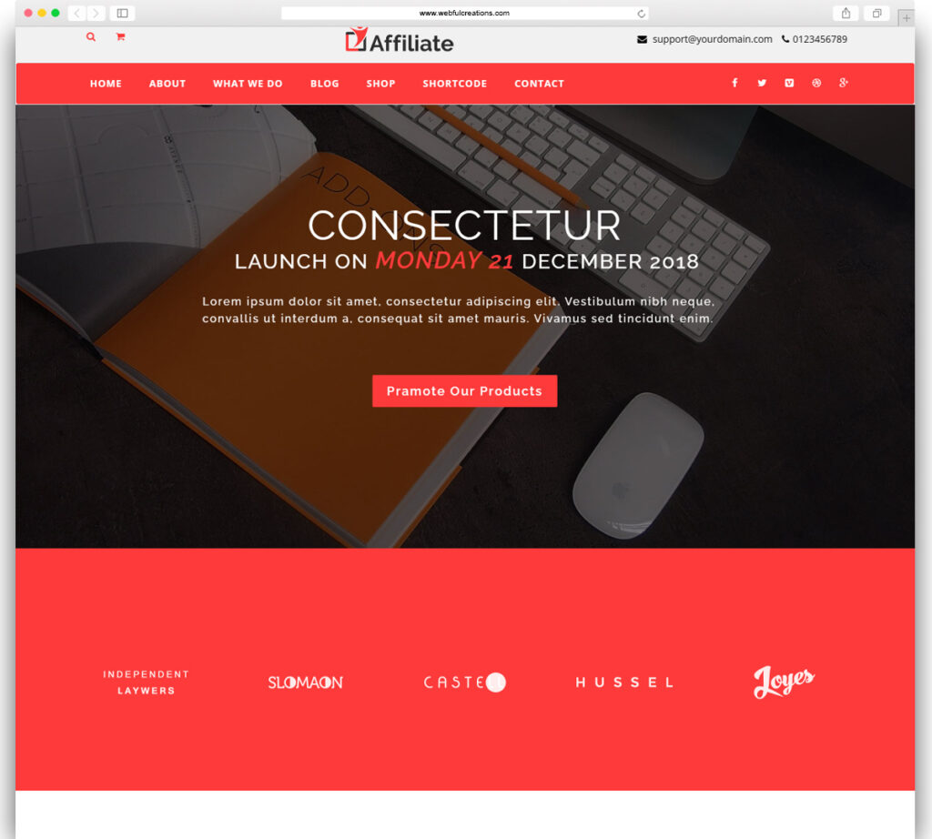 Affiliate Marketing WordPress Theme