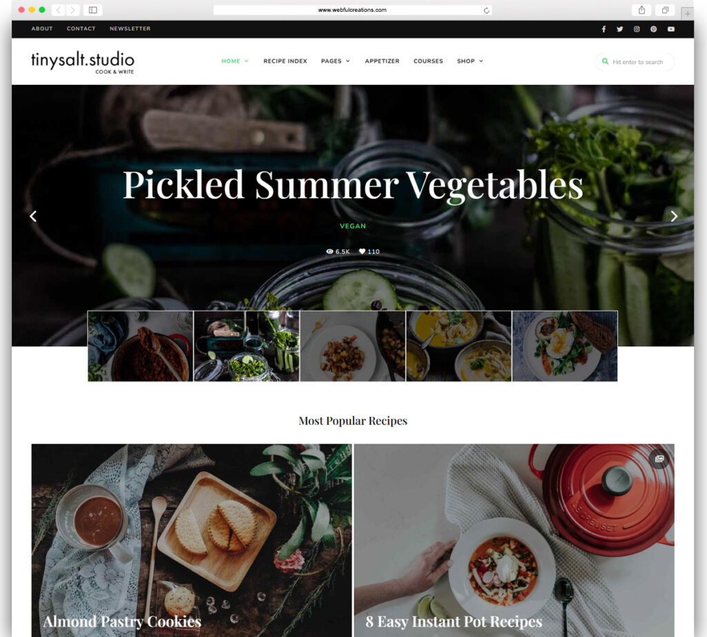 TinySalt - Personal Food Blog WordPress Theme