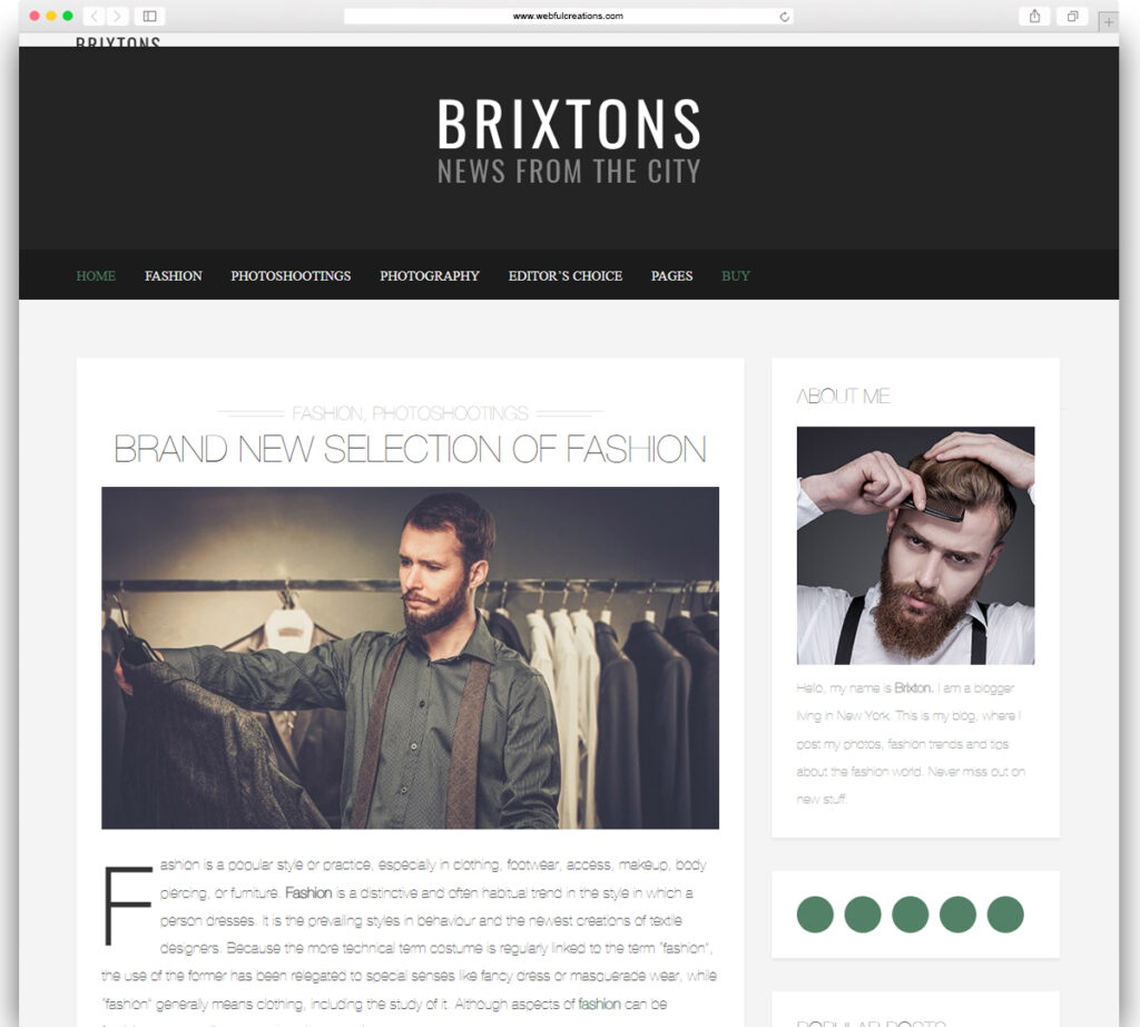 Brixton - A Responsive WordPress Blog Theme
