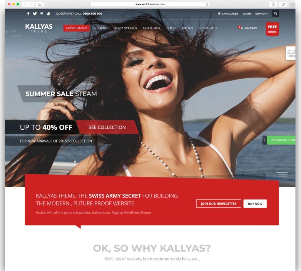 KALLYAS - Creative eCommerce Multi-Purpose WordPress Theme